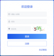 过现场展现和的体例